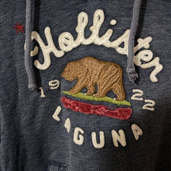 Hollister Gray Hoodie Large GUC - Picture 5 of 7